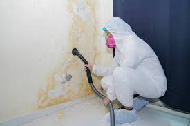 Best Forensic Mold Investigation  in Woodbury, MN